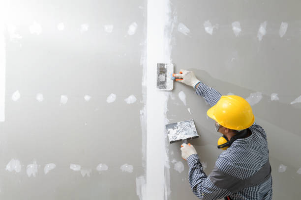 Best Drywall Removal and Disposal  in New London, MN